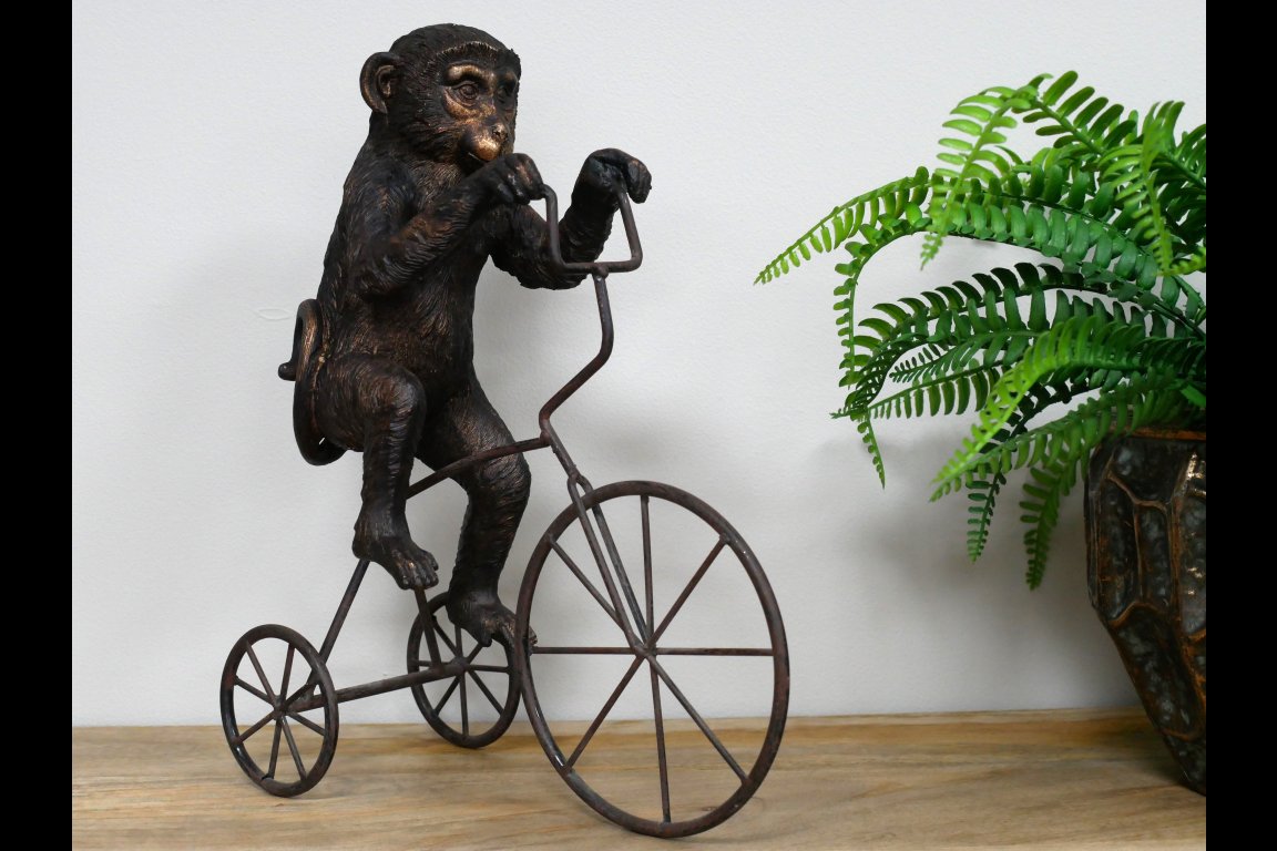 Monkey On Tricycle
