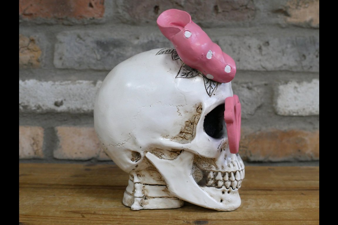 Skull With Pink Bow