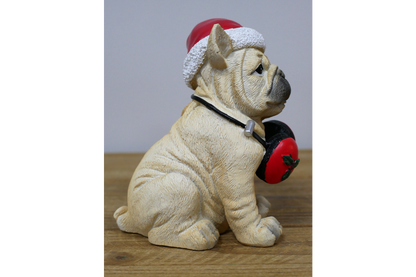 Dog With Headphones