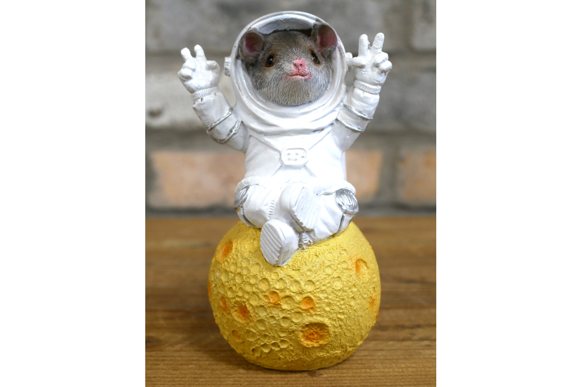 Mouse On Cheese Moon
