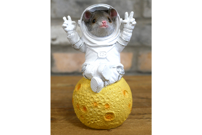 Mouse On Cheese Moon