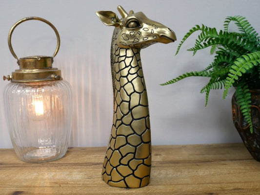 Giraffe Head (M)