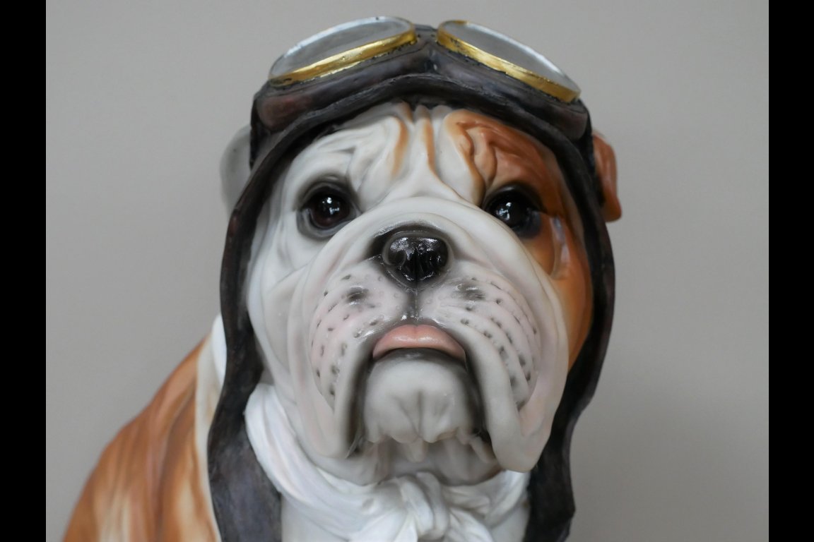 Large Pilot Dog