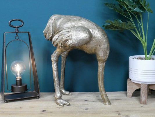 Ostrich (Head In Sand)