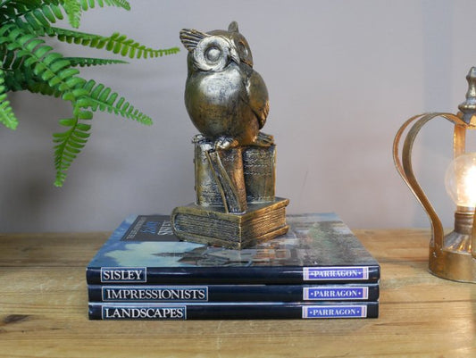 Owl Stood On Books