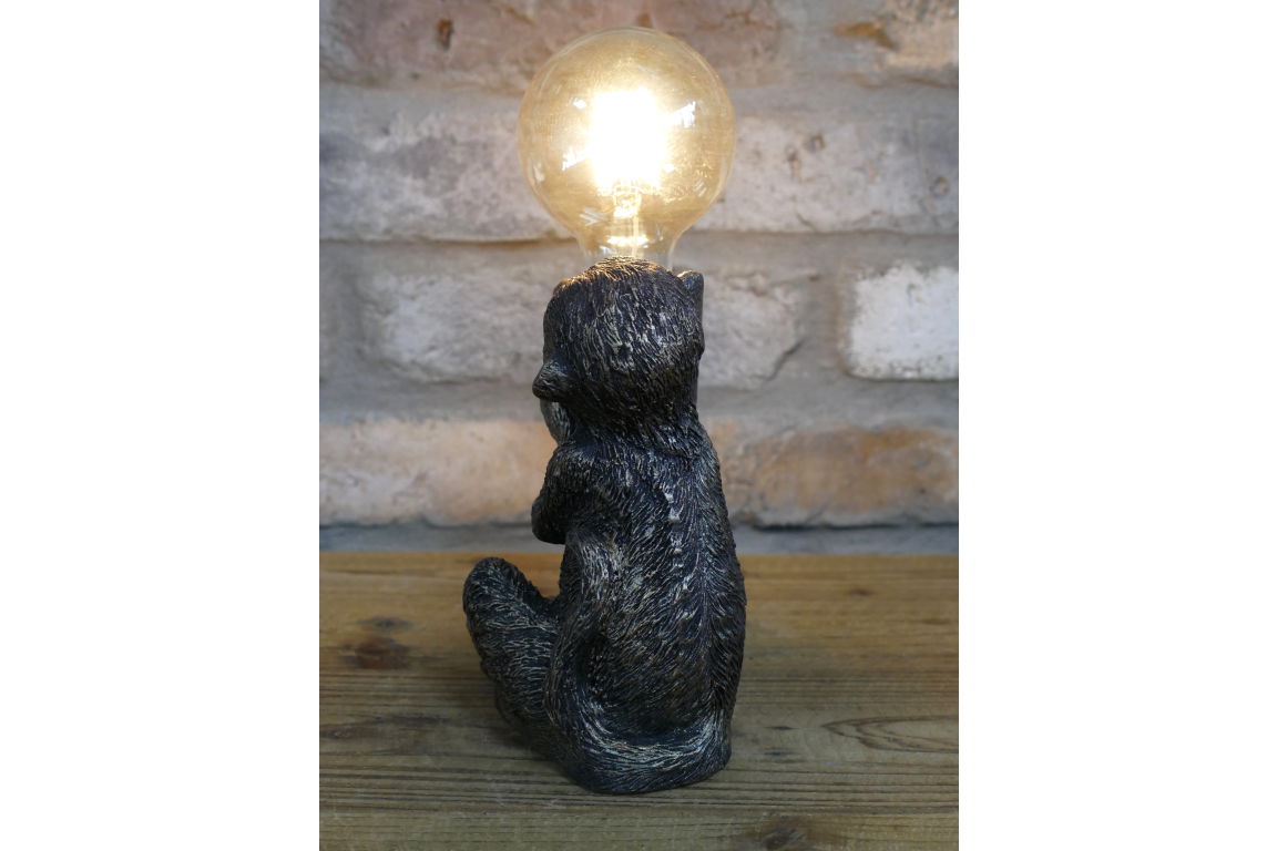 Monkey Light