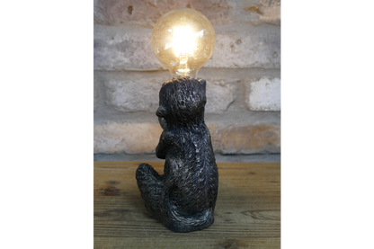 Monkey Light