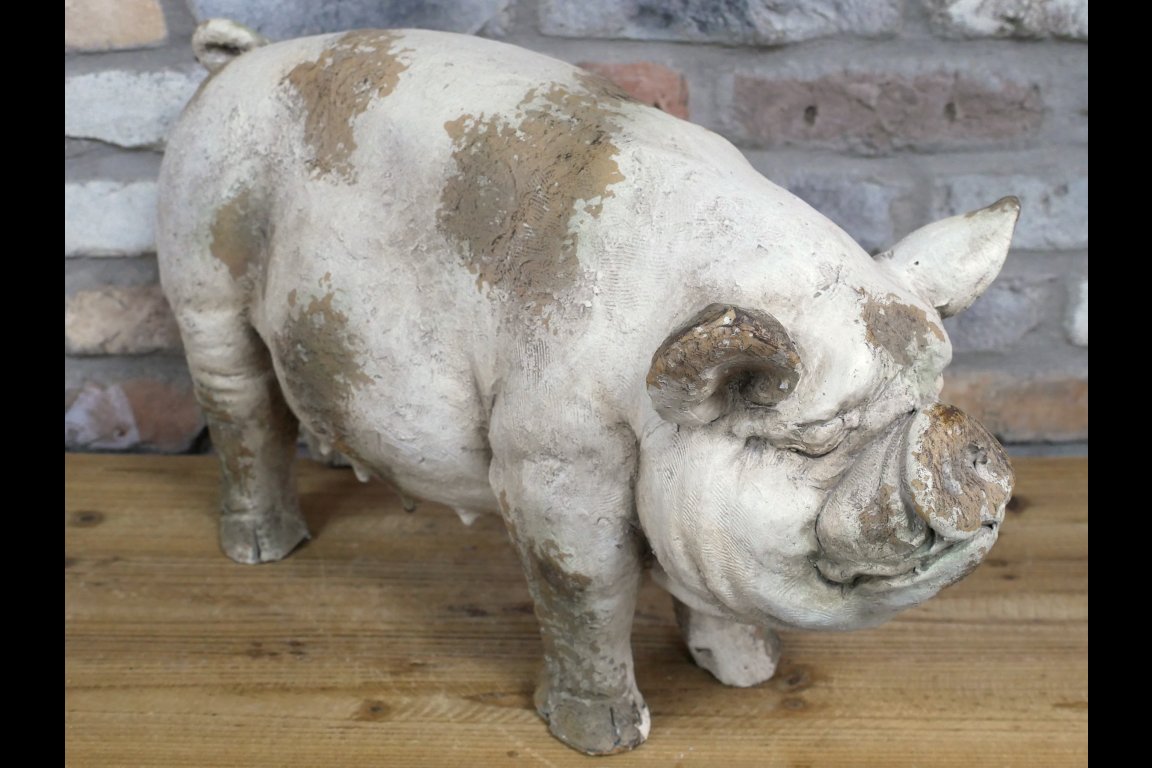 Pig