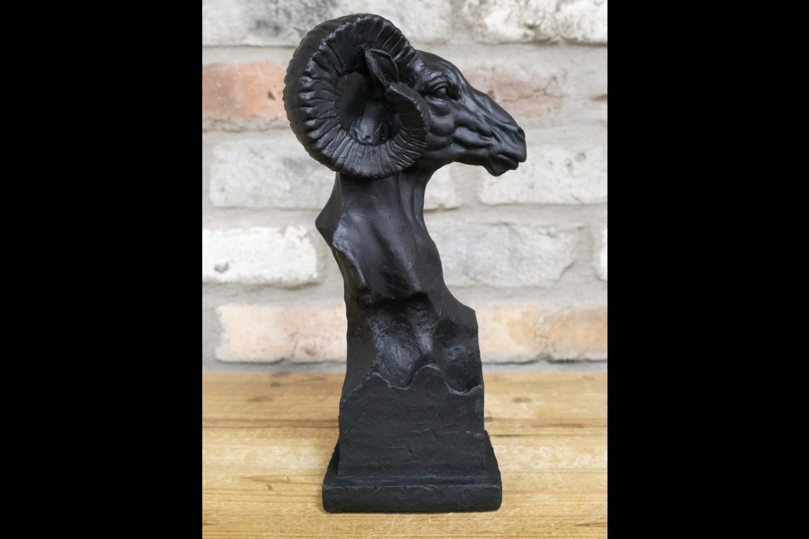 Ram Head