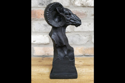 Ram Head