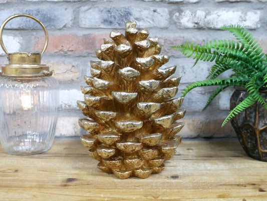 Giant Pinecone