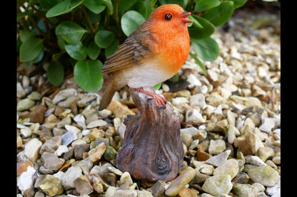 Tweeting Bird