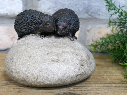Hedgehogs On Rock