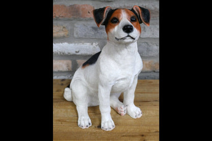 Jack Russell