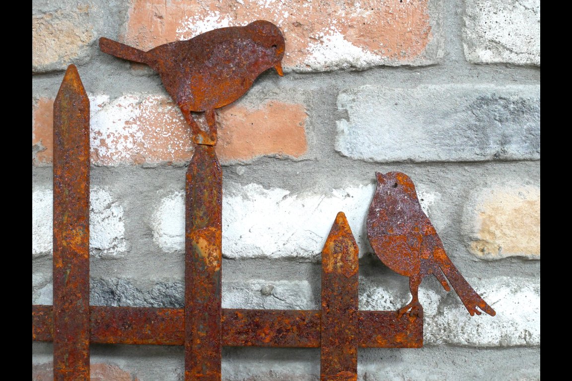 Rusty Fence With Birds Stake