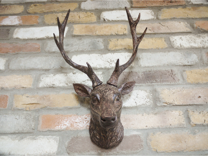 Stag Head