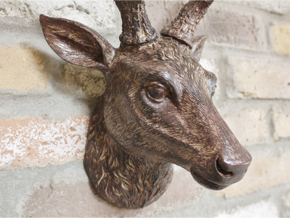 Stag Head