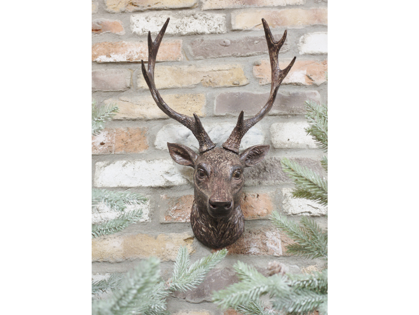 Stag Head