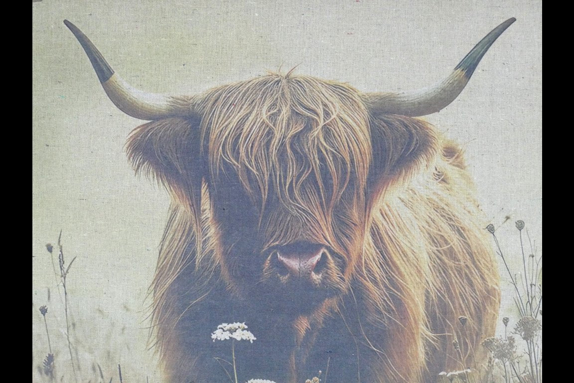 Canvas Wall Art - Cow In Field