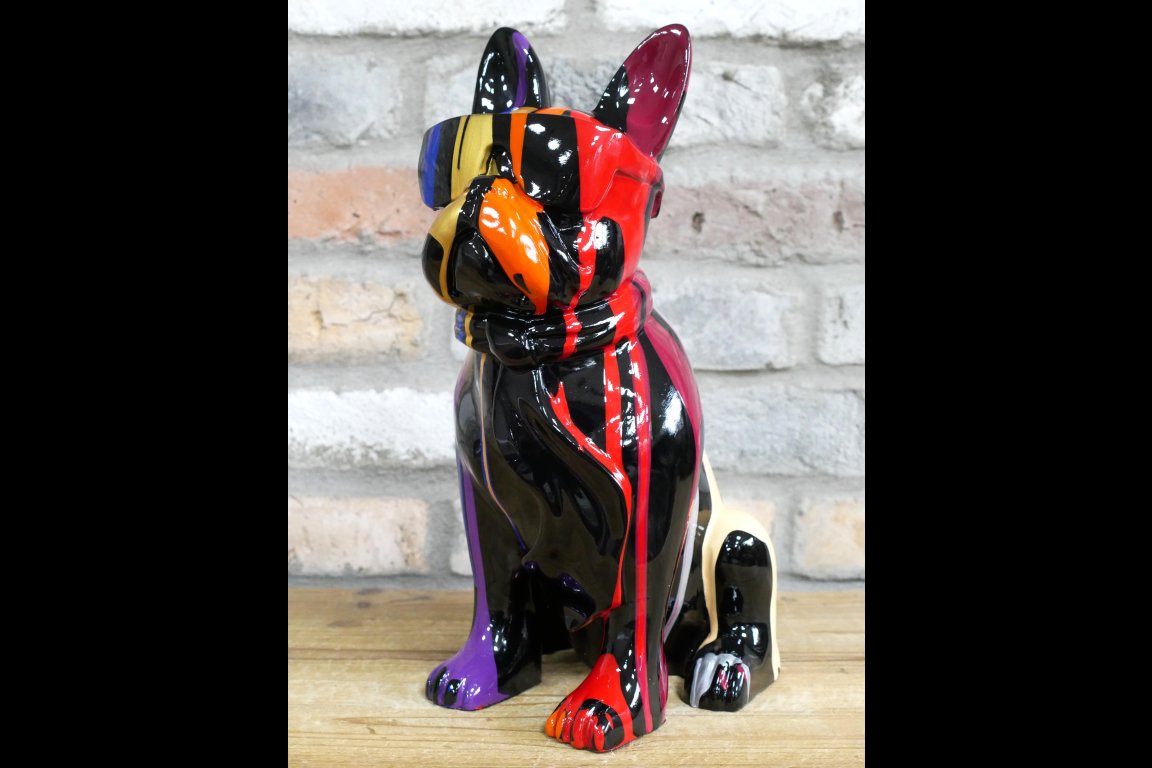 Multi Colour Dog With Shades
