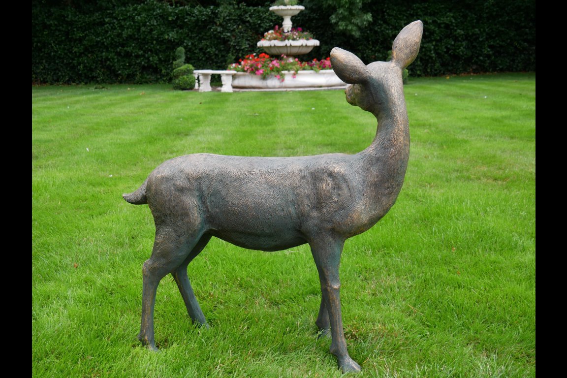 Deer