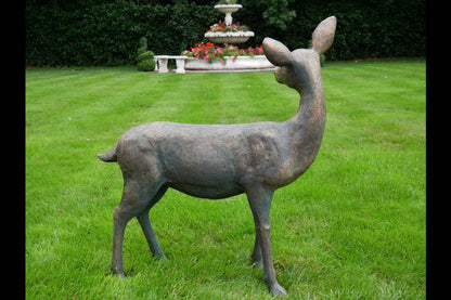 Deer