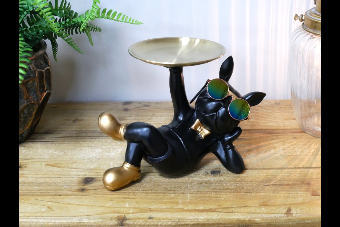 Dog With Tray
