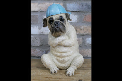 Arms Crossed Bulldog