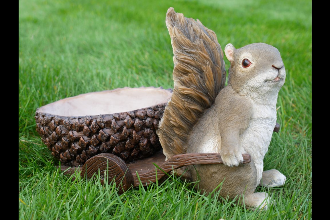 Squirrel With Acorn Trailer