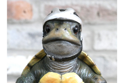 Speedy Tortoise