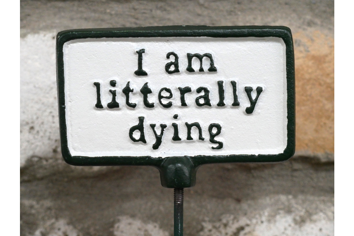 Plant Sign - Litterally Dying