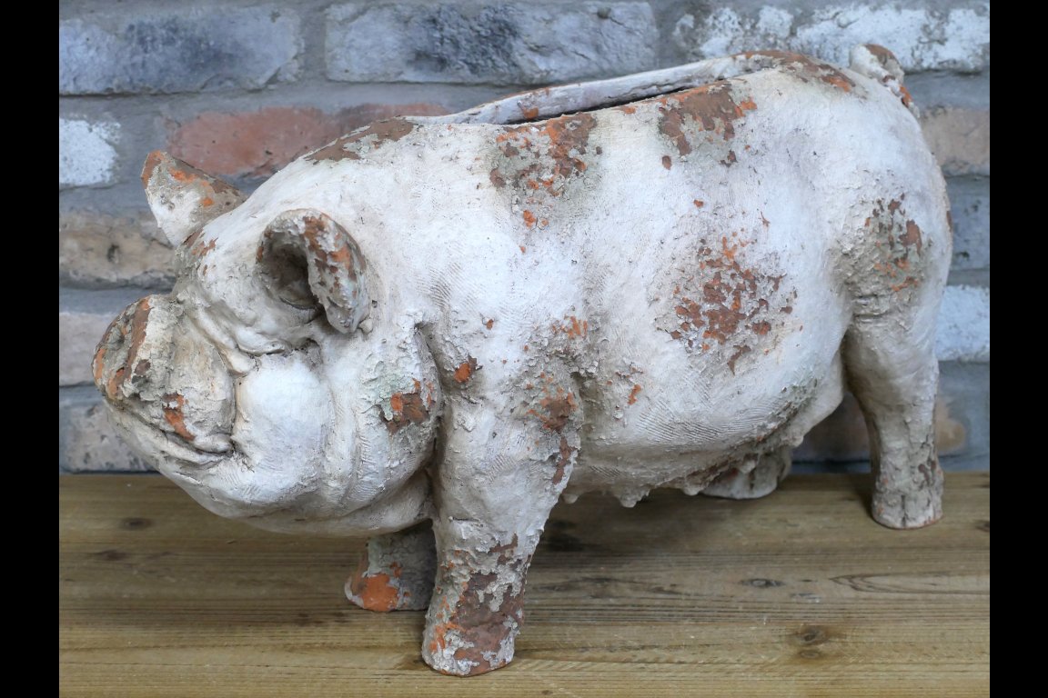 Pig Planter