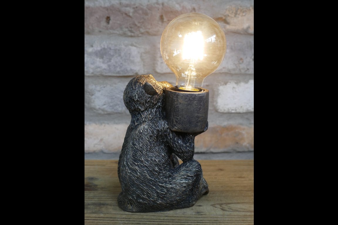 Monkey Light