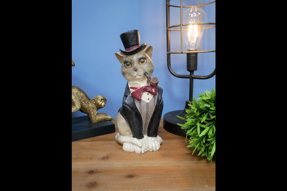 Gentleman Cat