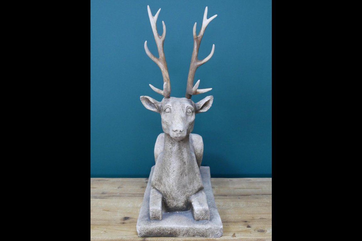 Deer