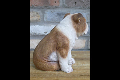 Bulldog