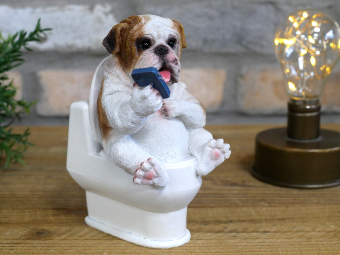 Bulldog On The Loo