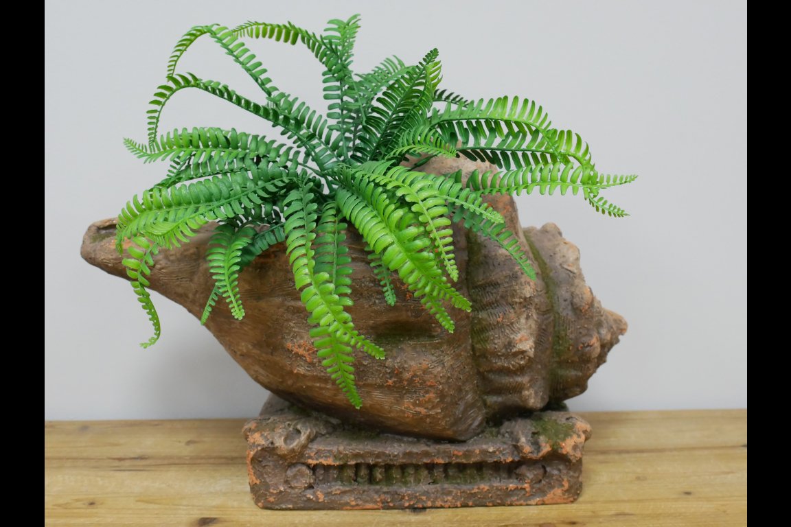 Shell Planter