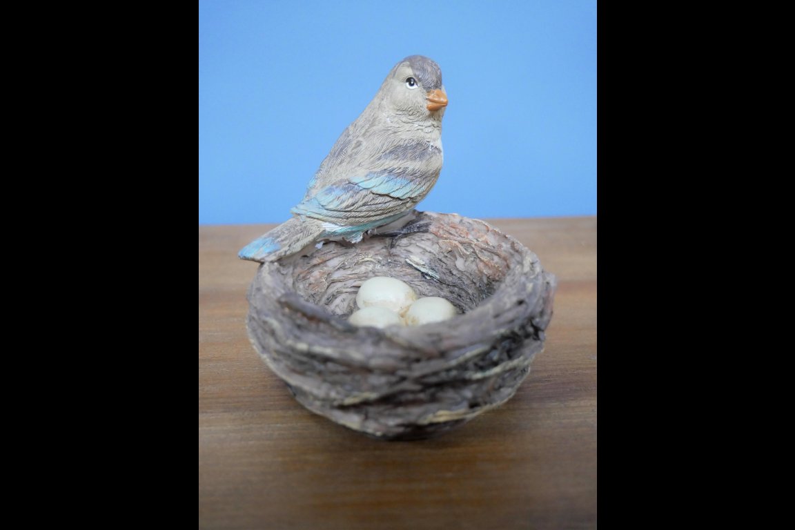Bird Nest
