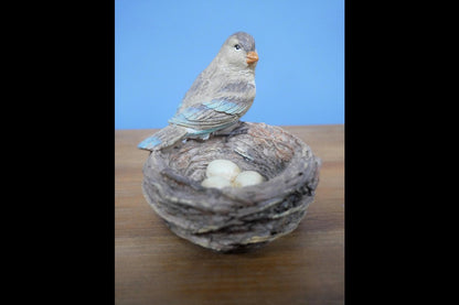 Bird Nest