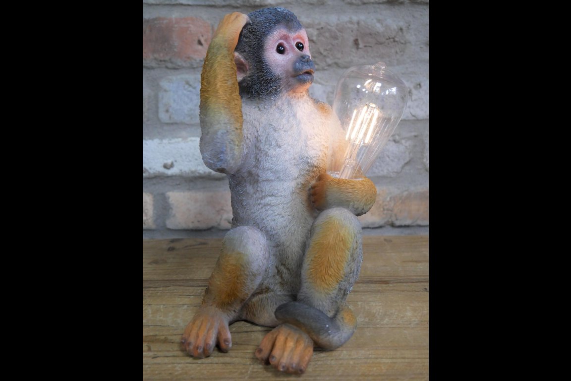 Monkey Light