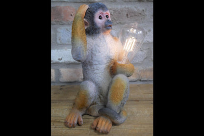 Monkey Light