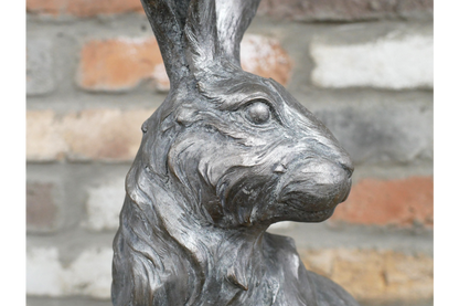 Sitting Rabbit