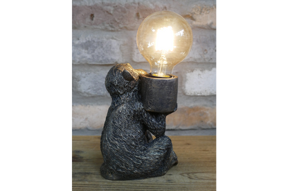 Monkey Light