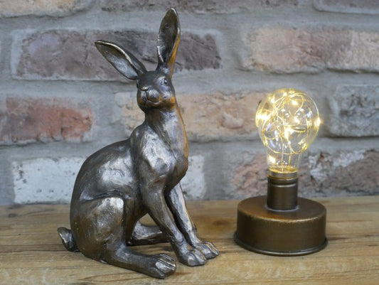 Hare