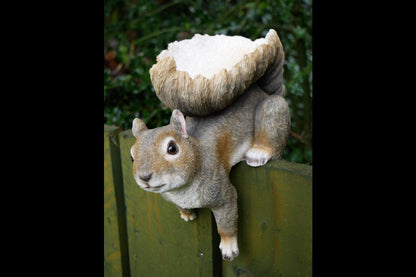 Squirrel Feeder