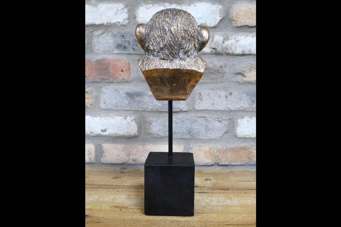 Monkey Head