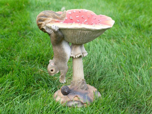 Squirrel On A Mushroom