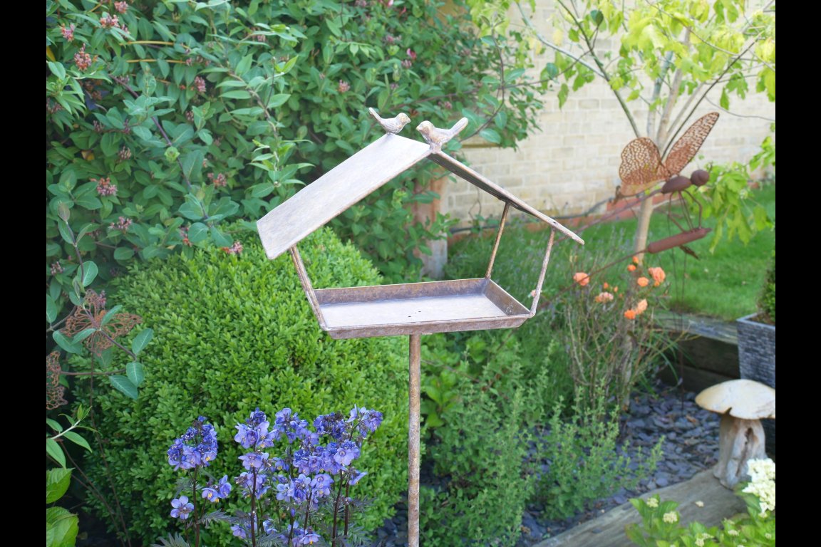 Bird Feeder