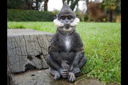 Bearded Monkey